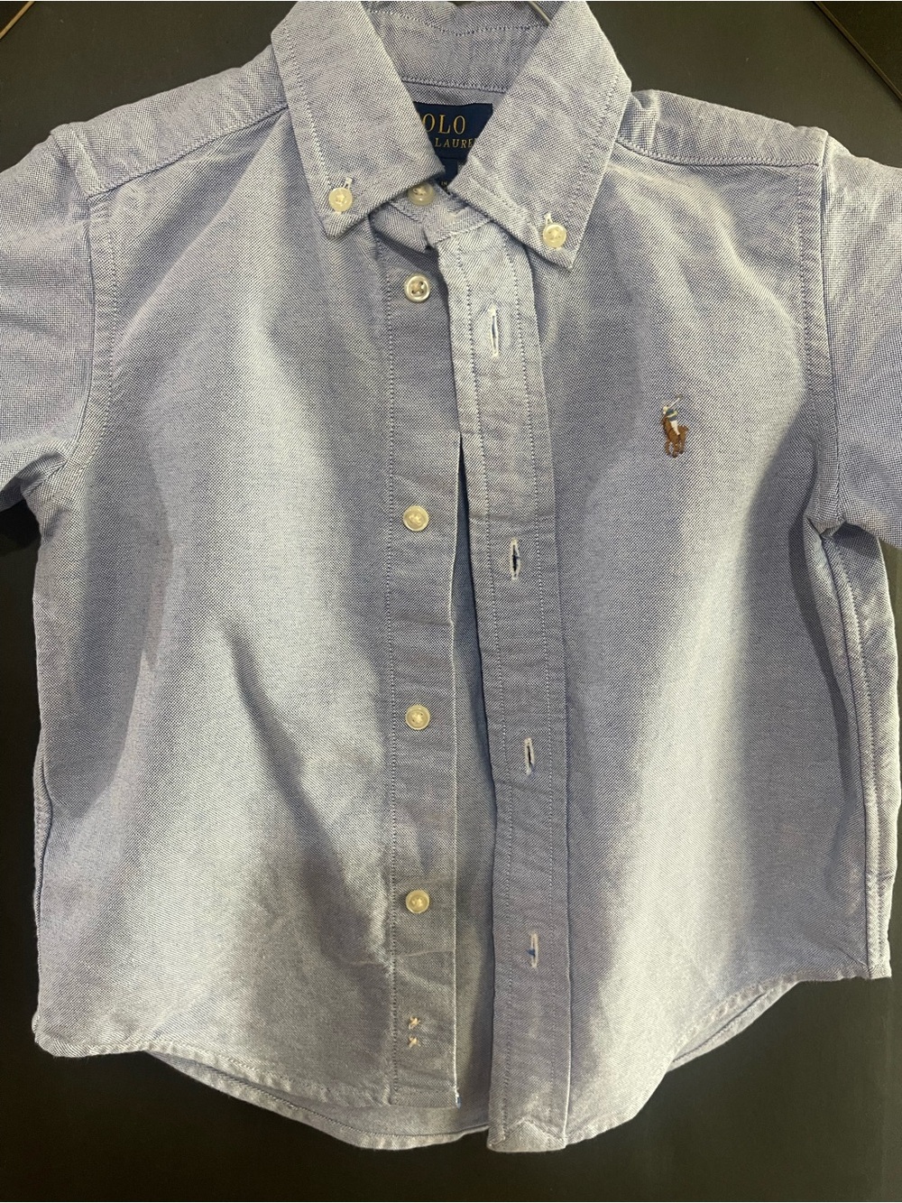 Polo by Ralph Lauren Light Blue Button-Down Oxford Shirt